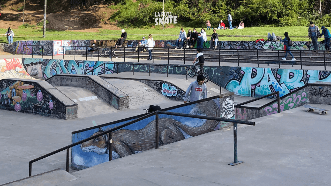 skatepark concepción