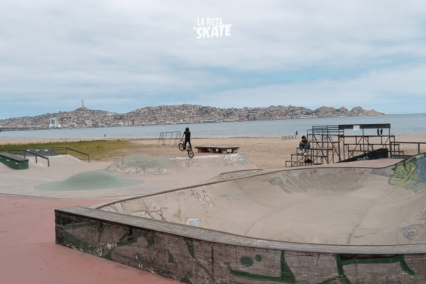 skatepark peñuelas