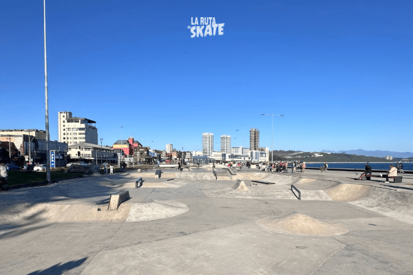 skatepark-puerto-montt-chile-06.png