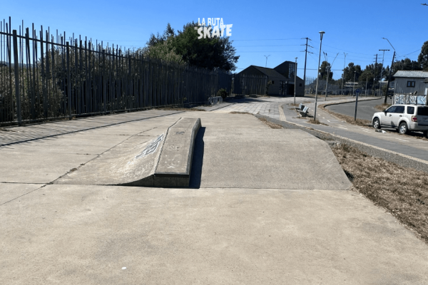 skatepark-valdivia-yanez-zabala-11.png