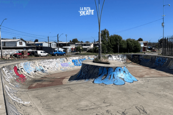 skatepark-valdivia-yanez-zabala-14.png