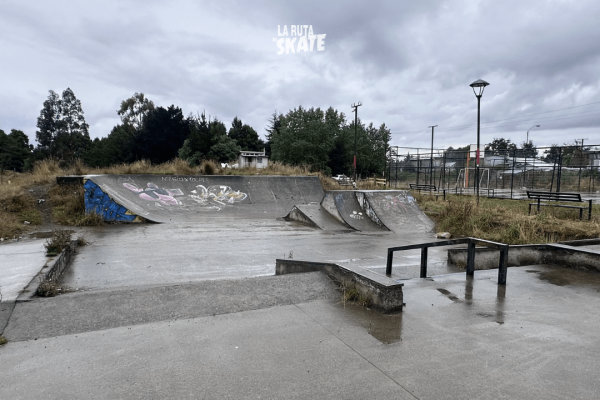 skatepark-frutillar-patinar.png