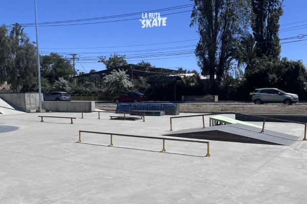 skatepark-paine-6.png