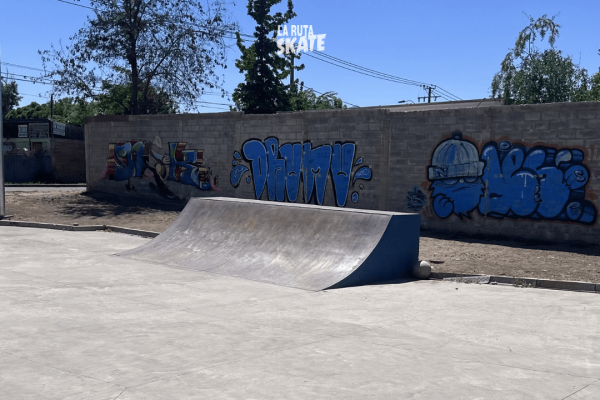 skatepark-paine-7.png
