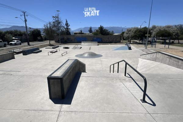 skatepark-paine-9.png
