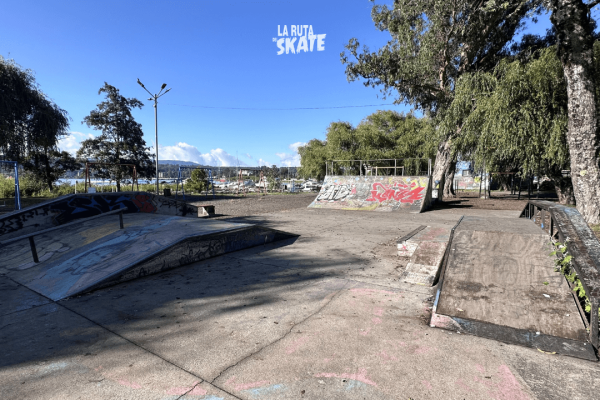 skatepark-villarrica-1.png