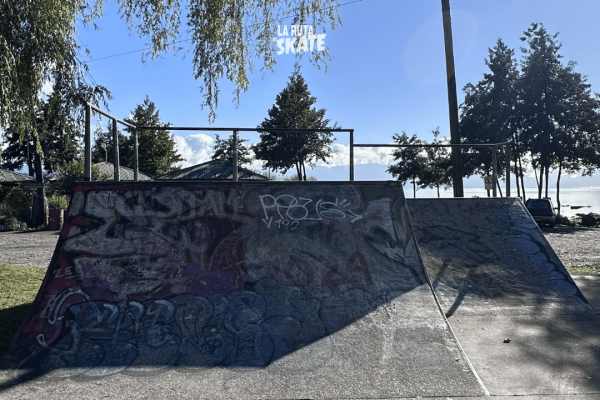 skatepark-villarrica-2.png