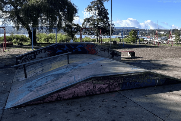 skatepark-villarrica-3.png