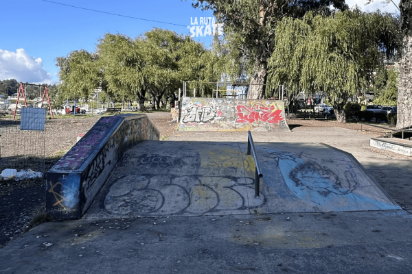 skatepark-villarrica-4.png