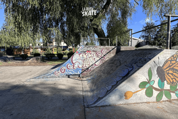 skatepark-villarrica-5.png