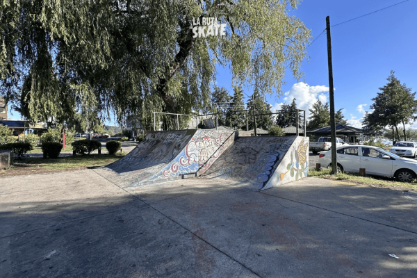 skatepark-villarrica-6.png