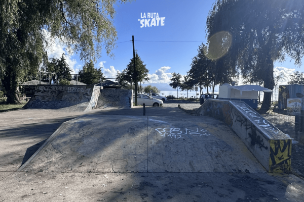 skatepark-villarrica-8.png