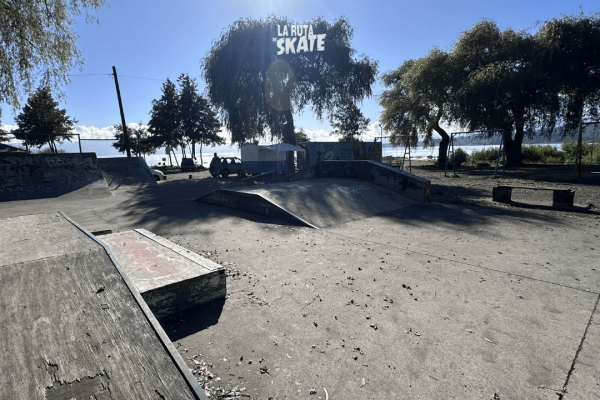skatepark-villarrica-9.png
